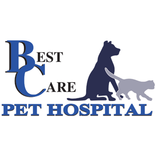 Logo Best Care Pet Hospital West